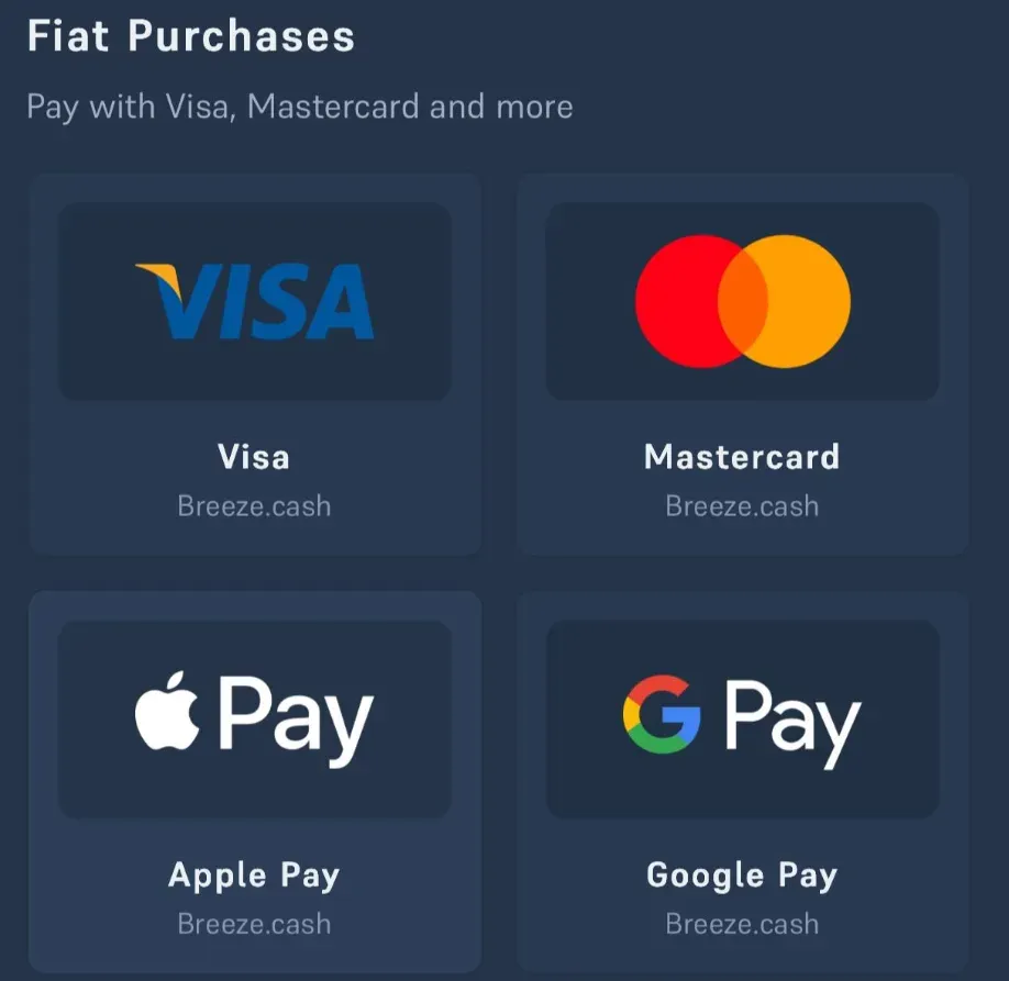 Acebet Purchase window listing Visa, Mastercard, Apple Pay and Google Pay under Fiat Purchases